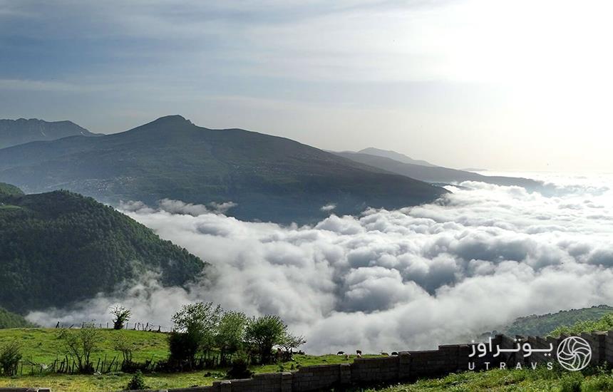 جنگل ابر در روستای فیلبند مازندران